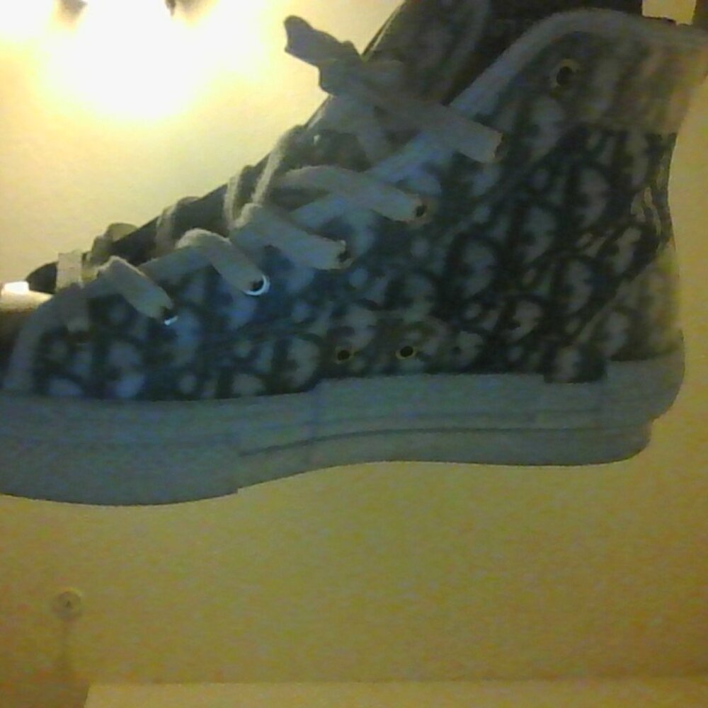 Dior b23s high sneakers